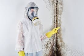 Trusted Dunsmuir, CA Mold Remediation Experts